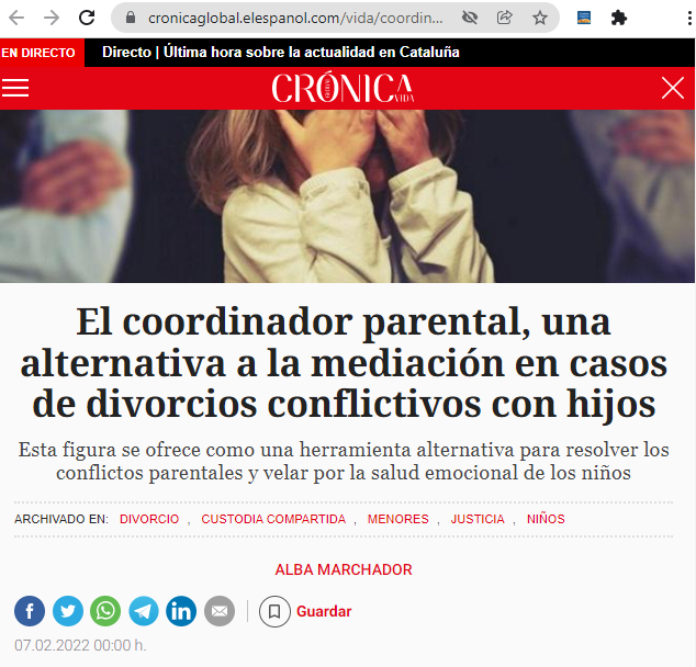 La Figura Del Coordinador Parental En El Español - Fundación Filia